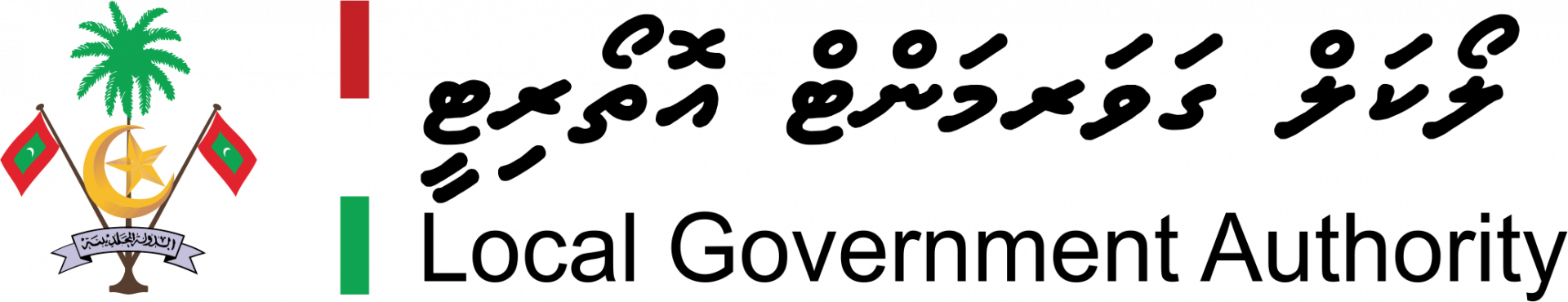 Local Government Authority